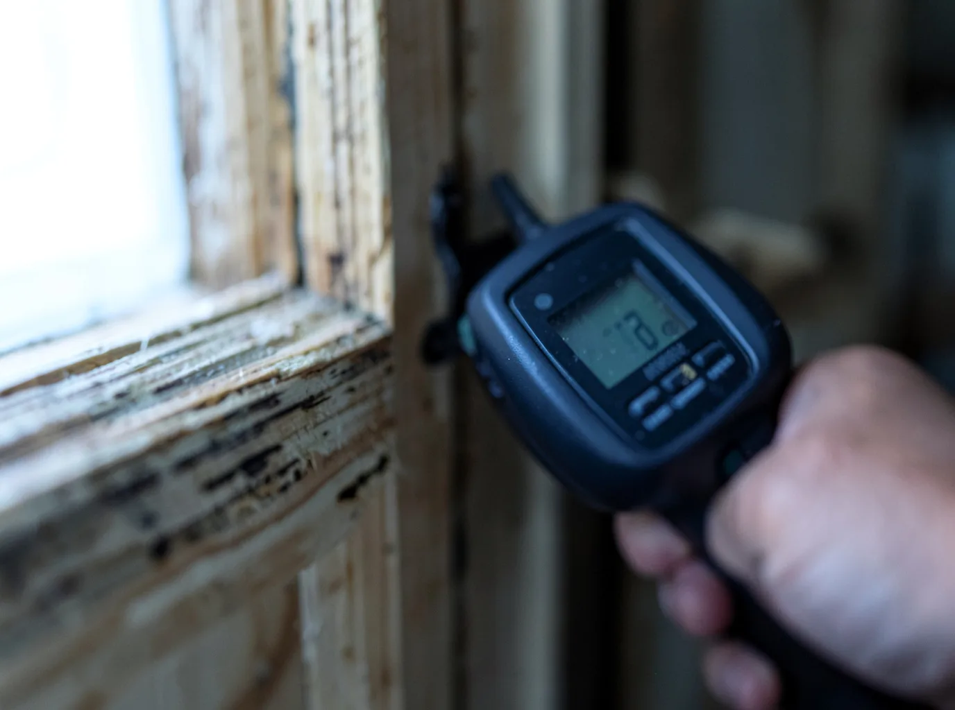Moisture Inspection And Documentation in Hampton, MN